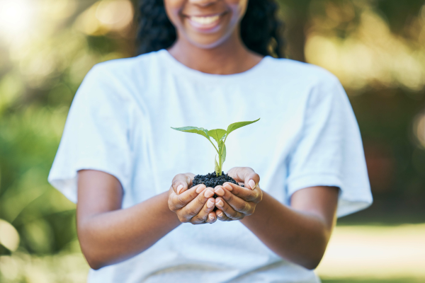 Cultura Orgânica – Como Você Pode Criar um Jardim Vertical Produtivo em Casa