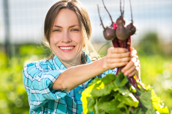 Sustentabilidade em Destaque: Como Você Pode Crescer Alimentos em Espaços Verticalizados