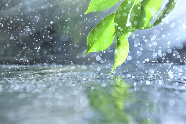 Como Podemos Fazer o Armazenamento de Água da Chuva para Fruticulturas em Condomínios Residenciais Ecológicos nas Grandes Cidades