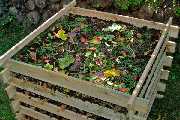 Fertilizantes Naturais para Horticulturas em Apartamentos: Como Você Pode Produzir Composto de Qualidade